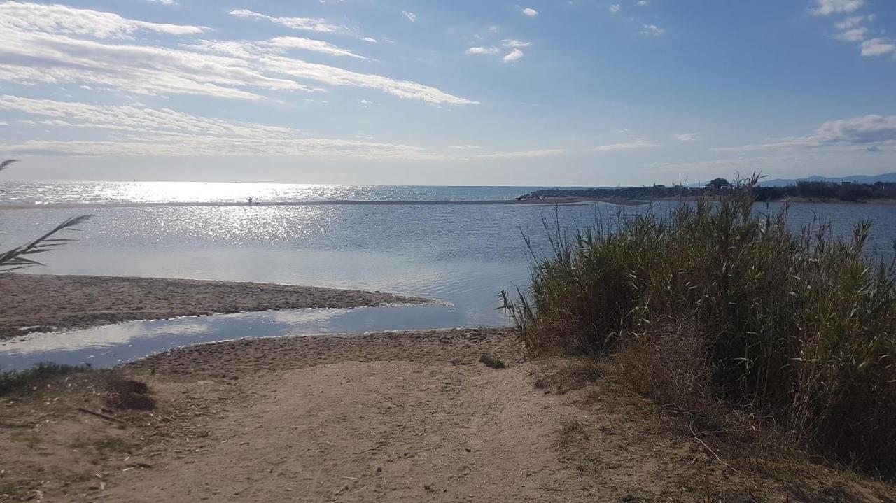 Ferienwohnung Cap Coudalere Le Barcarès Exterior foto